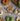 Nudelmaschine-Nina-Pasta-2.jpg Springlane